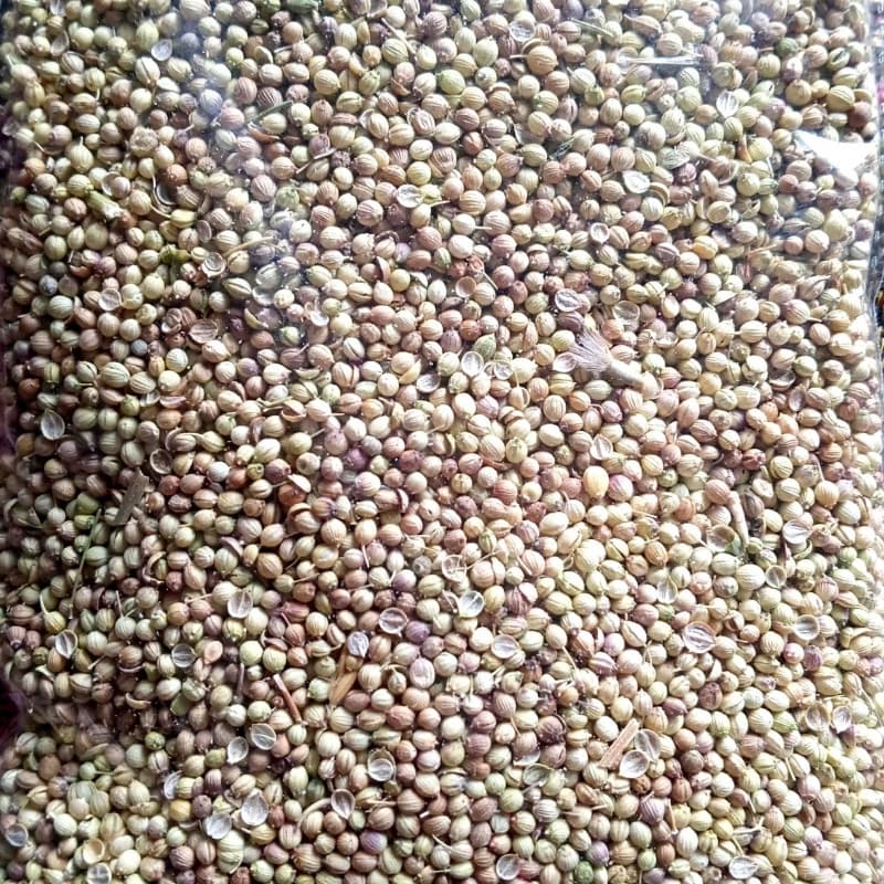 Sabut Dhaniya 200 Grams Limited Edition