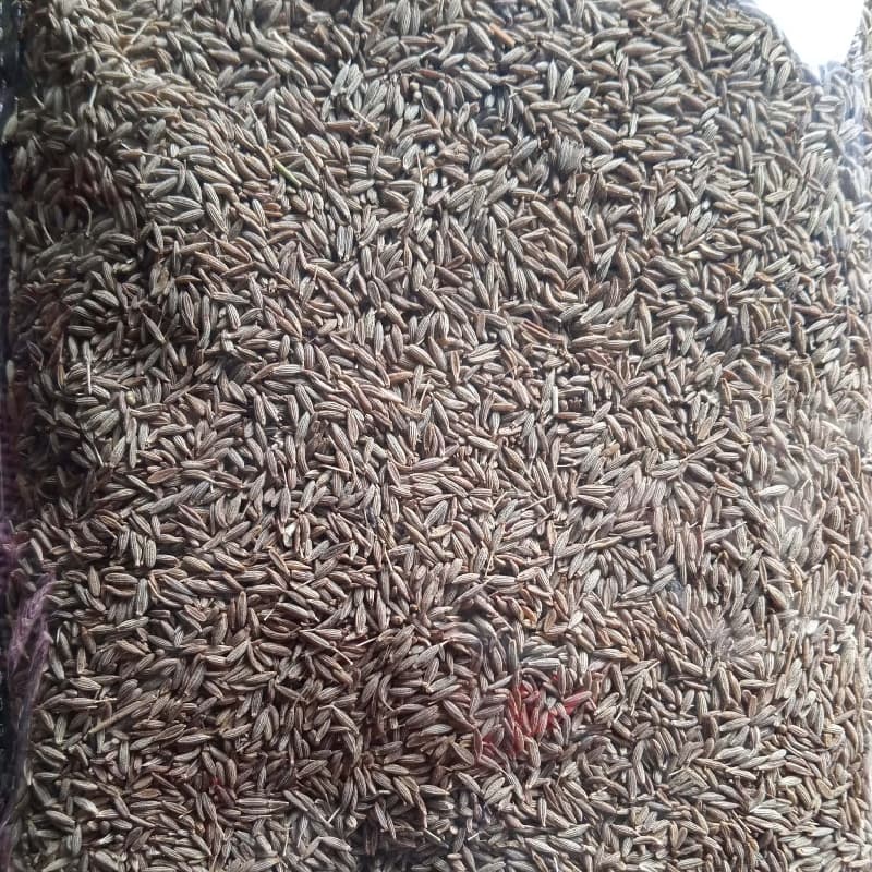 Zera 500 Grams 2 Pack Are Available In Stock