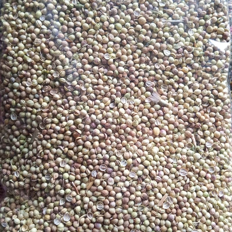 Dhaniya Powder 50 Grams Limited Offer